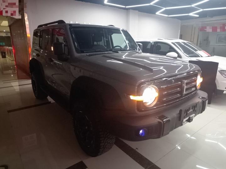 300 2021 Off-road 2.0T Conqueror photo 3