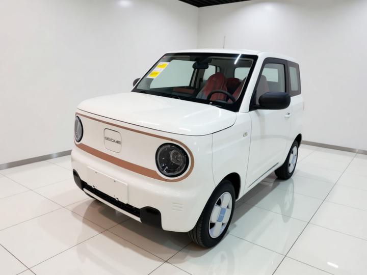 2024 Panda mini 200km Endurance Bear