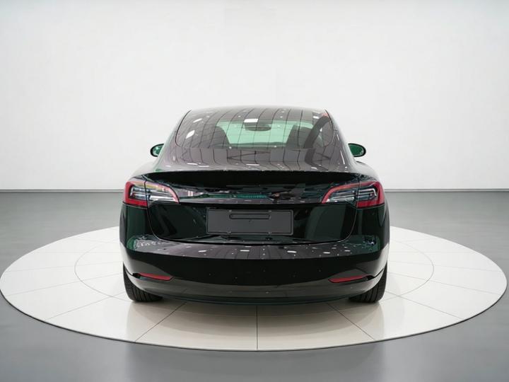 Model 3 2022 RWD photo 5