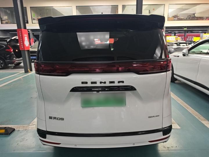 D9 2024 DM-i 980 AWD Noble photo 5