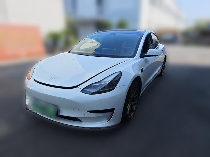 Model 3 2021 Standard Range RWD Upgraded 3D6