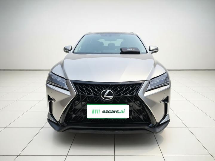 RX 2016 300 RWD Elite China V photo 2