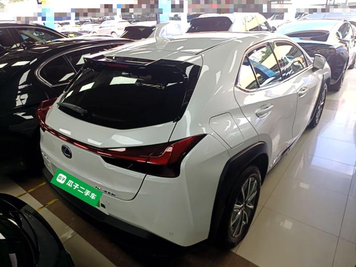 UX EV 2020 300e photo 4