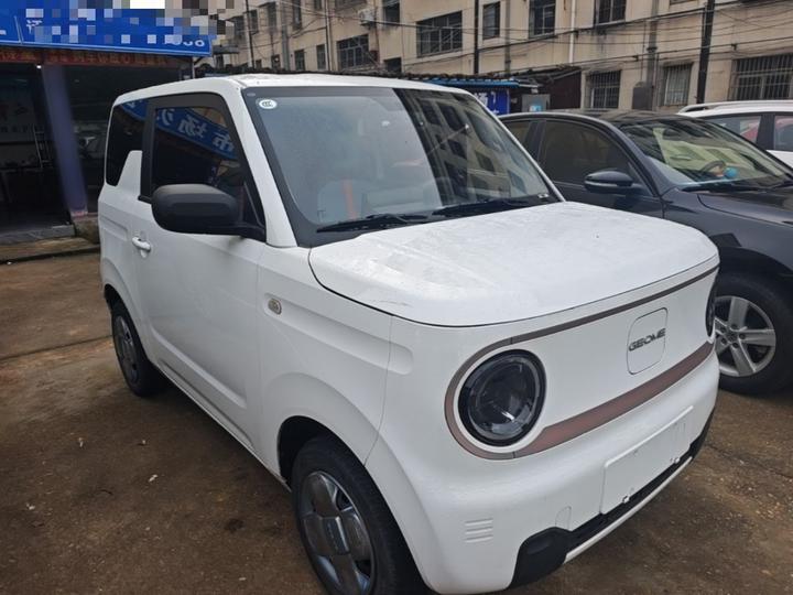 2023 Panda mini 200km Endurance Bear photo 3