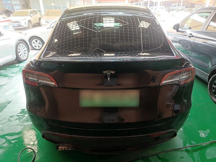 Model Y 2024 RWD photo 3