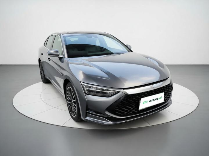 Han 2020 DM AWD Performance Luxury photo 3