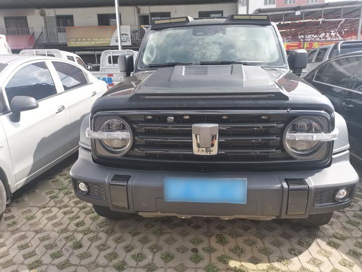 300 2021 Off-road 2.0T Conqueror photo 2
