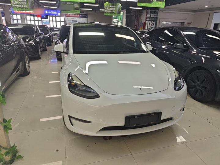 Model Y 2021 Standard Range RWD photo 2