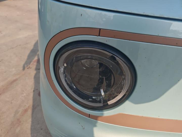 2024 Panda mini 200km Endurance Bear photo 7