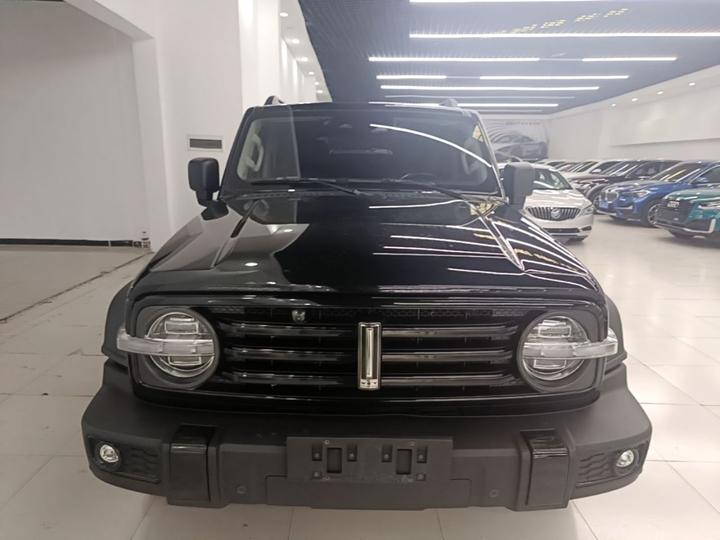 300 2021 Off-road 2.0T photo 2