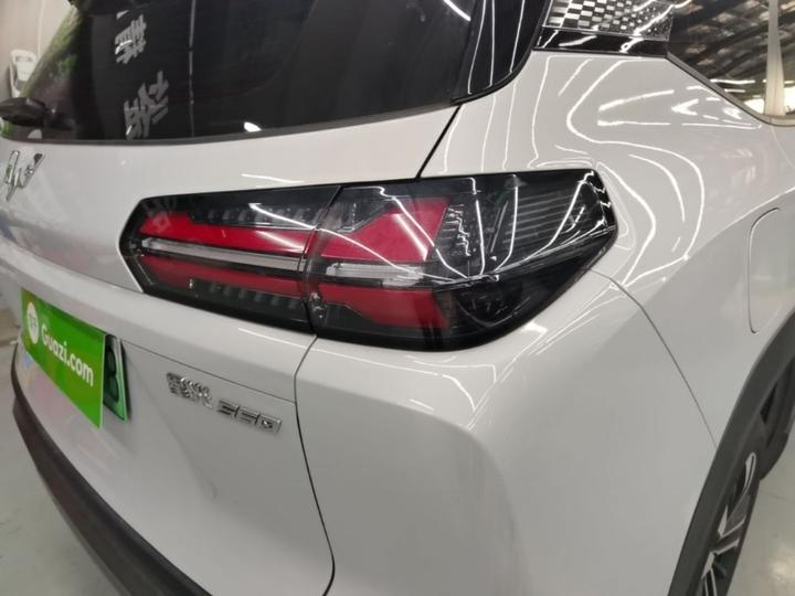 560 EV 2026 125km Luxury photo 7
