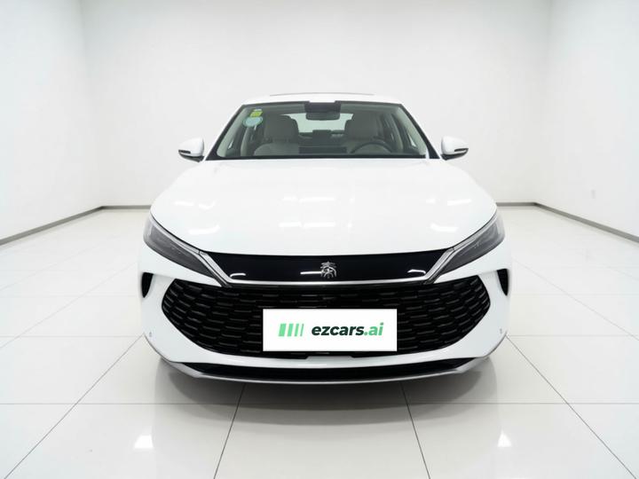 Qin L 2024 DM-i 120KM Excellence photo 2