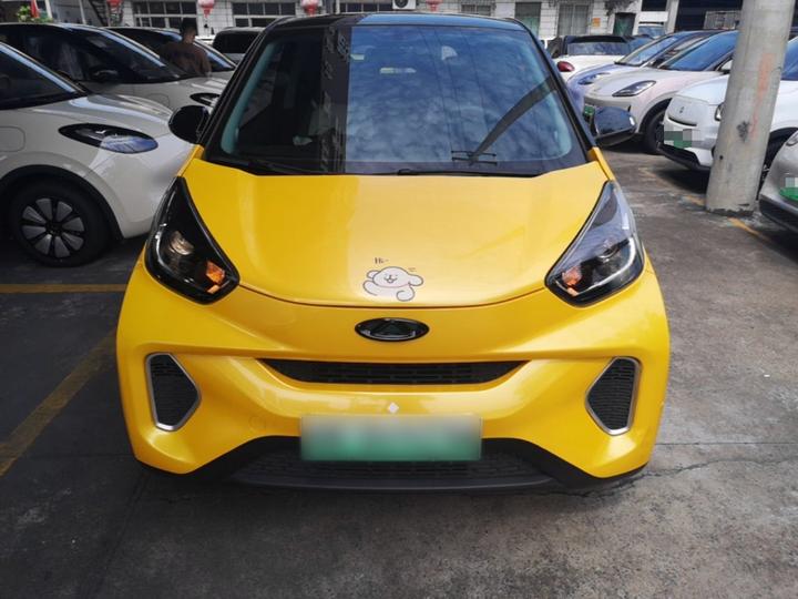 QQ Little Ant 2021 15 NCM photo 2