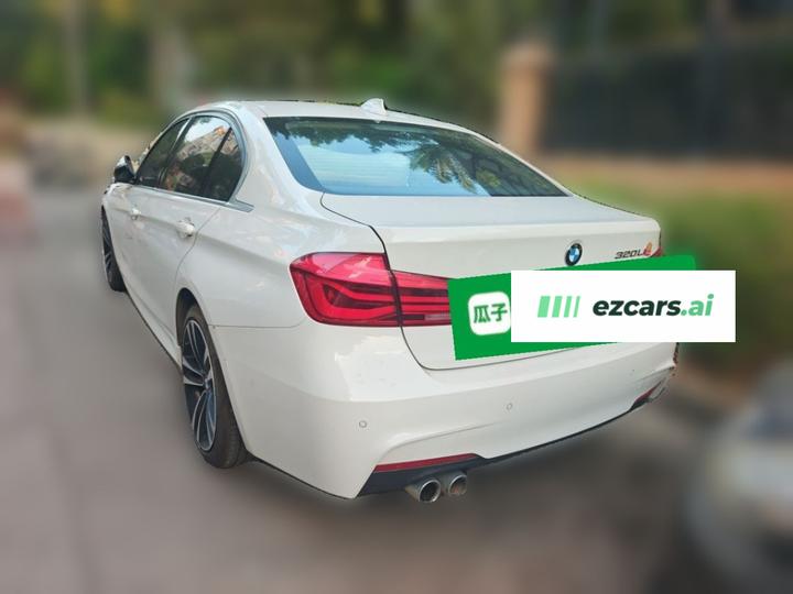 3 Series 2019 320Li M Luxury photo 4