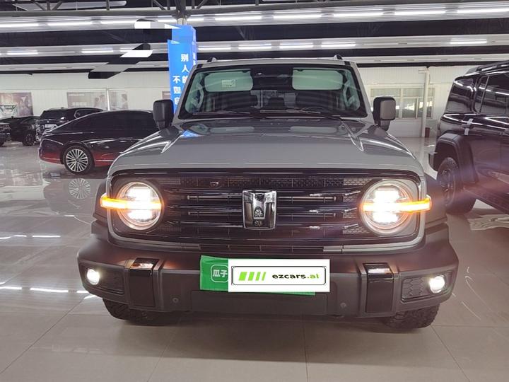 300 2024 2.0T Conqueror photo 2