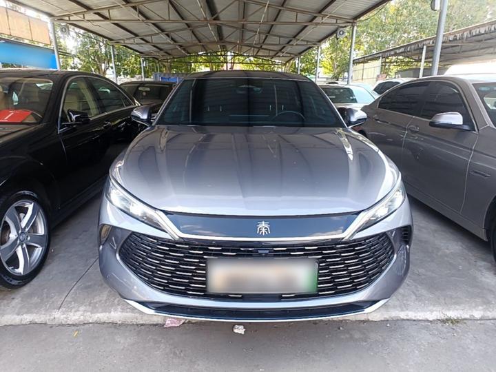 Qin L 2024 DM-i 120KM Excellence photo 2