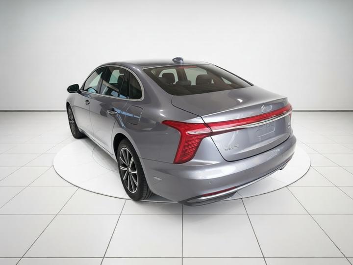 H5 PHEV 2025 170 photo 4