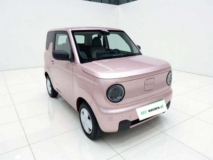 2024 Panda mini 200km Endurance Bear photo 3