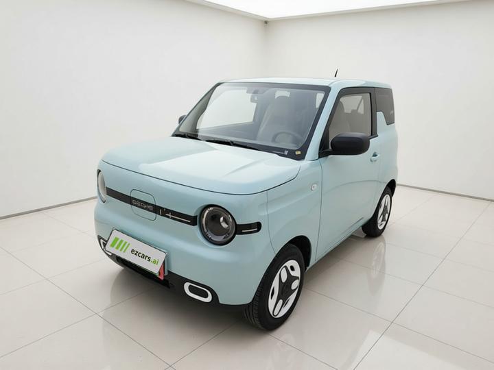 2025 Panda mini 210km Yuan