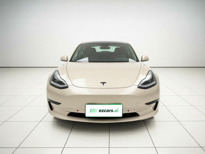 Model 3 2019 Standard Range RWD Upgraded photo 2