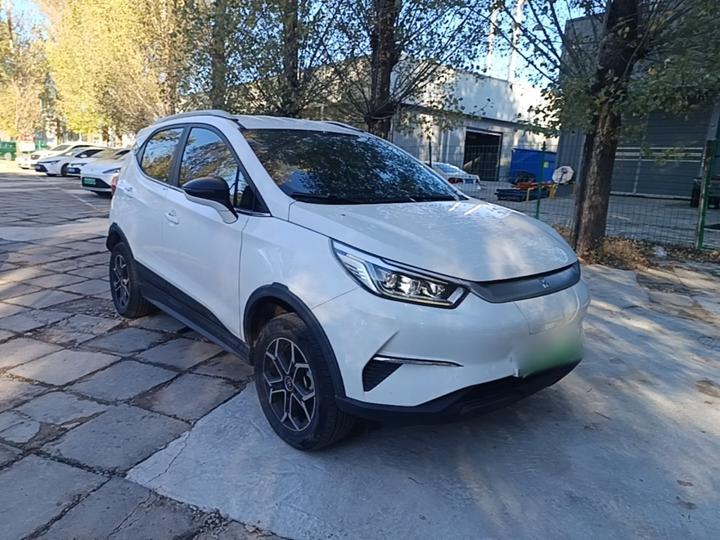 Yuan Pro 2021 photo 3