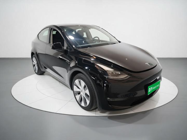 Model Y 2021 Long Range AWD photo 3