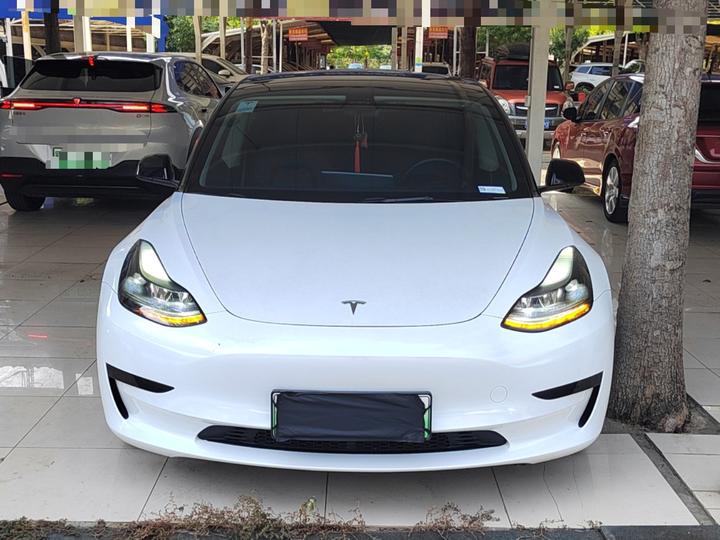 Model 3 2021 Facelift Standard Range RWD Upgraded 3D1 photo 2