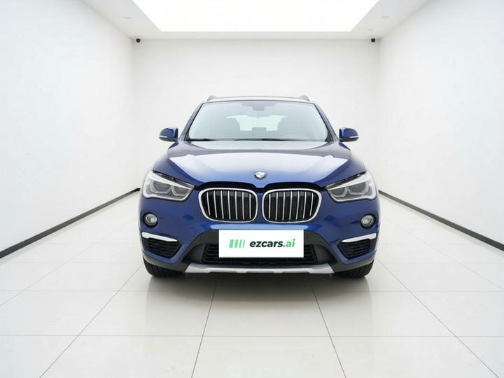 X1 2019 xDrive20Li Exclusive photo 2