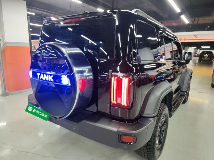 300 2021 Off-road 2.0T Conqueror photo 6