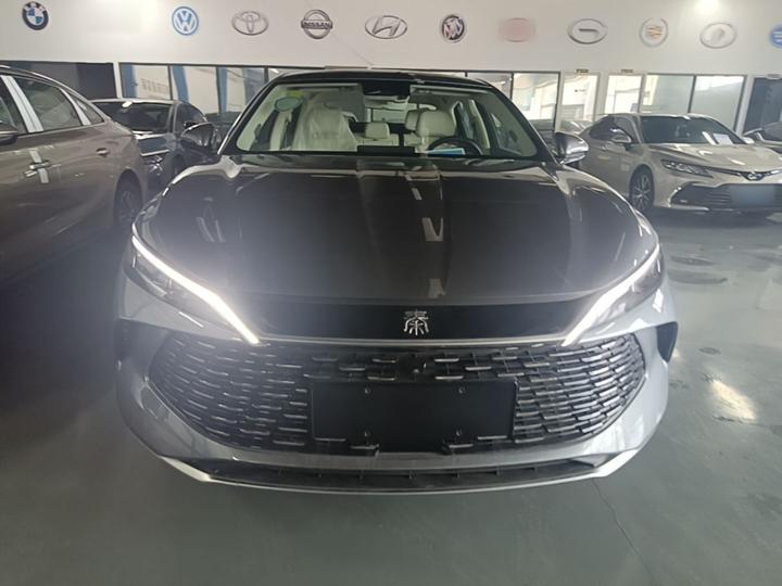 Qin L 2024 DM-i 120KM photo 2