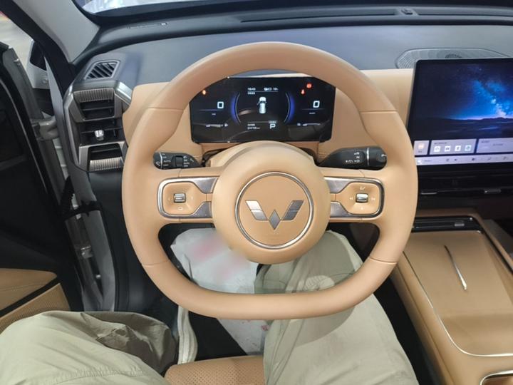560 EV 2026 125km Luxury photo 6