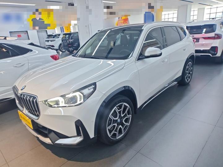 X1 2024 sDrive25Li X Design Package