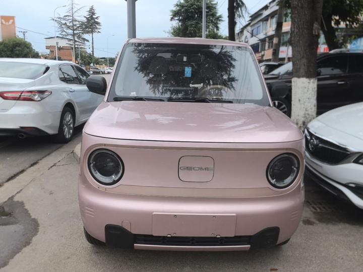 2024 Panda mini 200km Endurance Bear photo 2