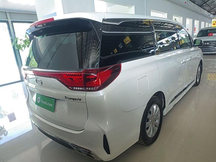 GAC Trumpchi M8 2020 Pilot 390T Exclusive photo 4