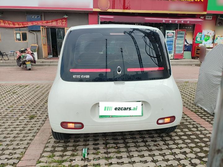 2020 401km Long Range photo 5