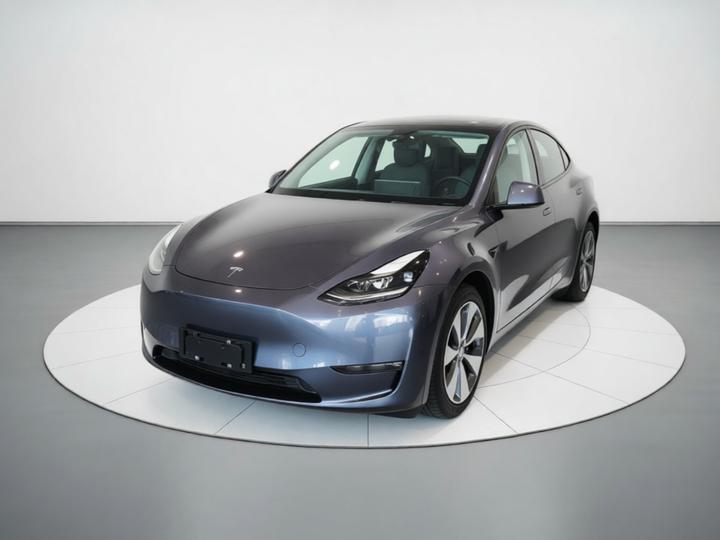 Model Y 2021 Long Range AWD