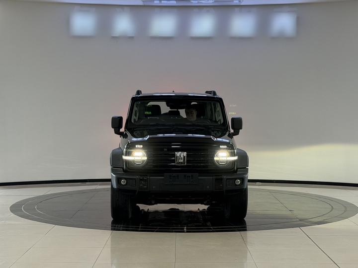 300 2021 Off-road 2.0T Conqueror photo 2