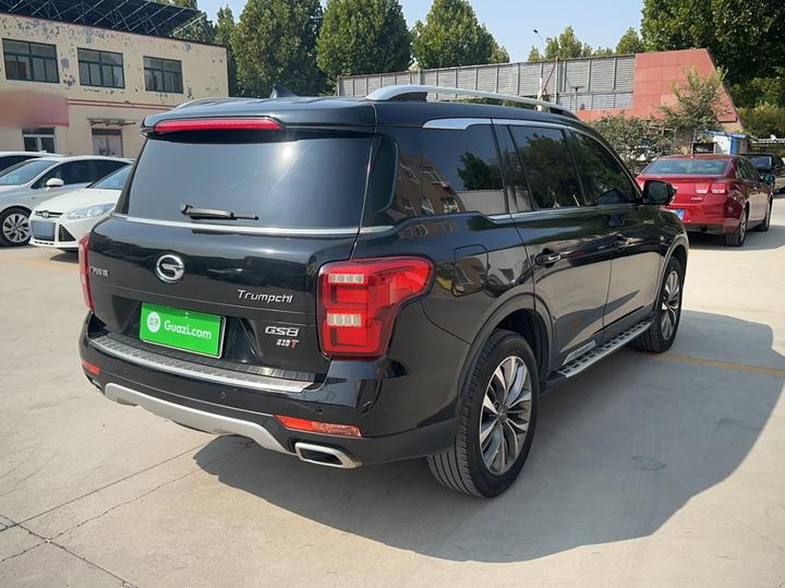 GAC Trumpchi GS8 2017 320T RWD Luxury Connected 7-Seater photo 4