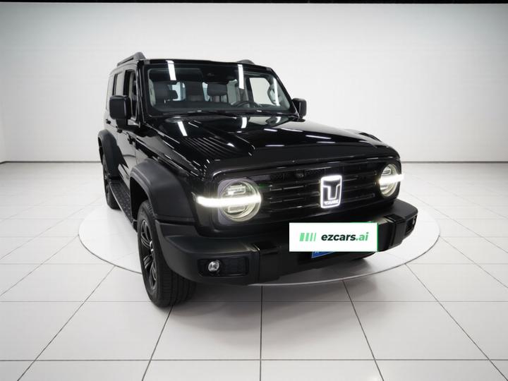 300 2023 Off-road 2.0T Conqueror photo 3