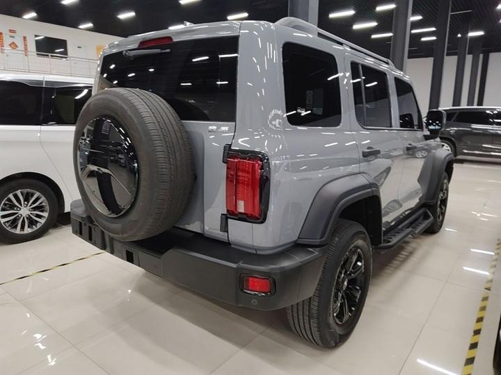 300 2021 Off-road 2.0T Conqueror photo 6