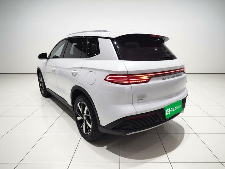 Song Pro EV 2024 Honor DM-i 110KM photo 4