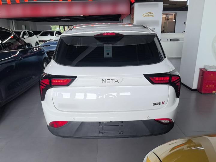 Neta V 2022 300 Lite LFP photo 3
