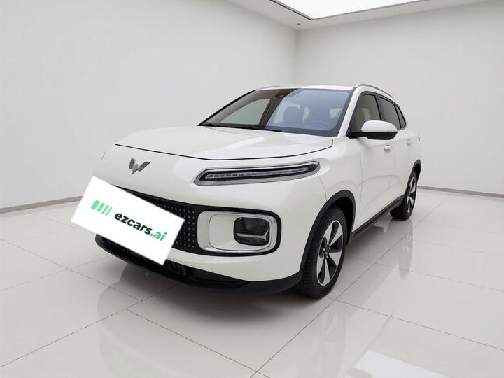 Wuling 2023 2.0L DHT Standard