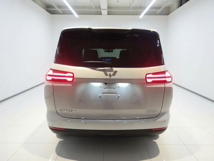 730 EV 2025 125km Luxury photo 5