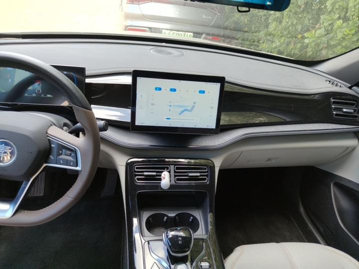 Qin PLUS 2024 Honor DM-i 55KM Leading photo 8