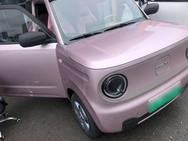 2023 Panda mini 200km Endurance Bear photo 3