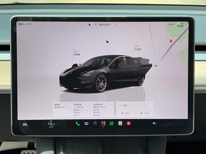 Model 3 2022 Performance AWD photo 6