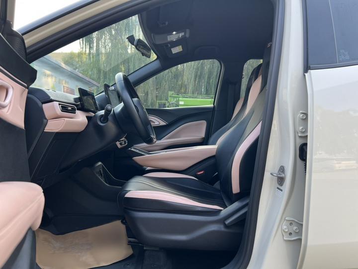 Seagull 2023 photo 7