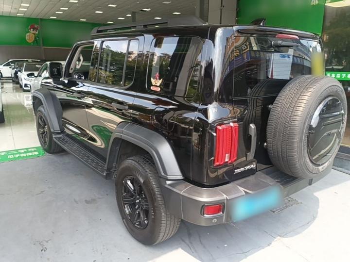 300 2021 Off-road 2.0T Conqueror photo 4