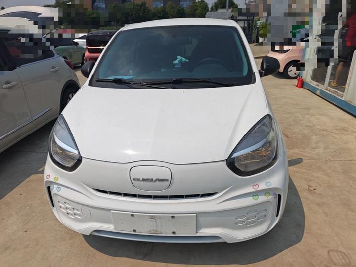 Clever R 2022 311km Yuan photo 2